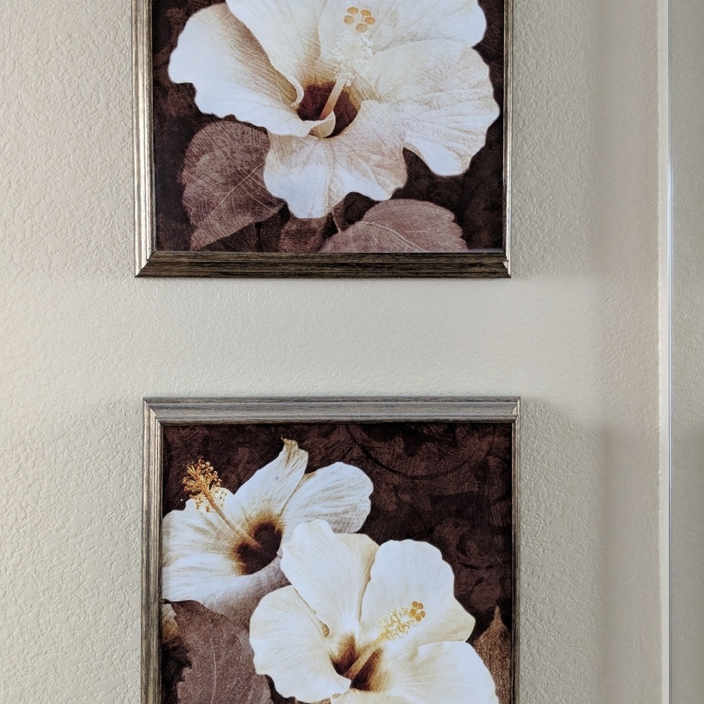Stunning Hibiscus Prints